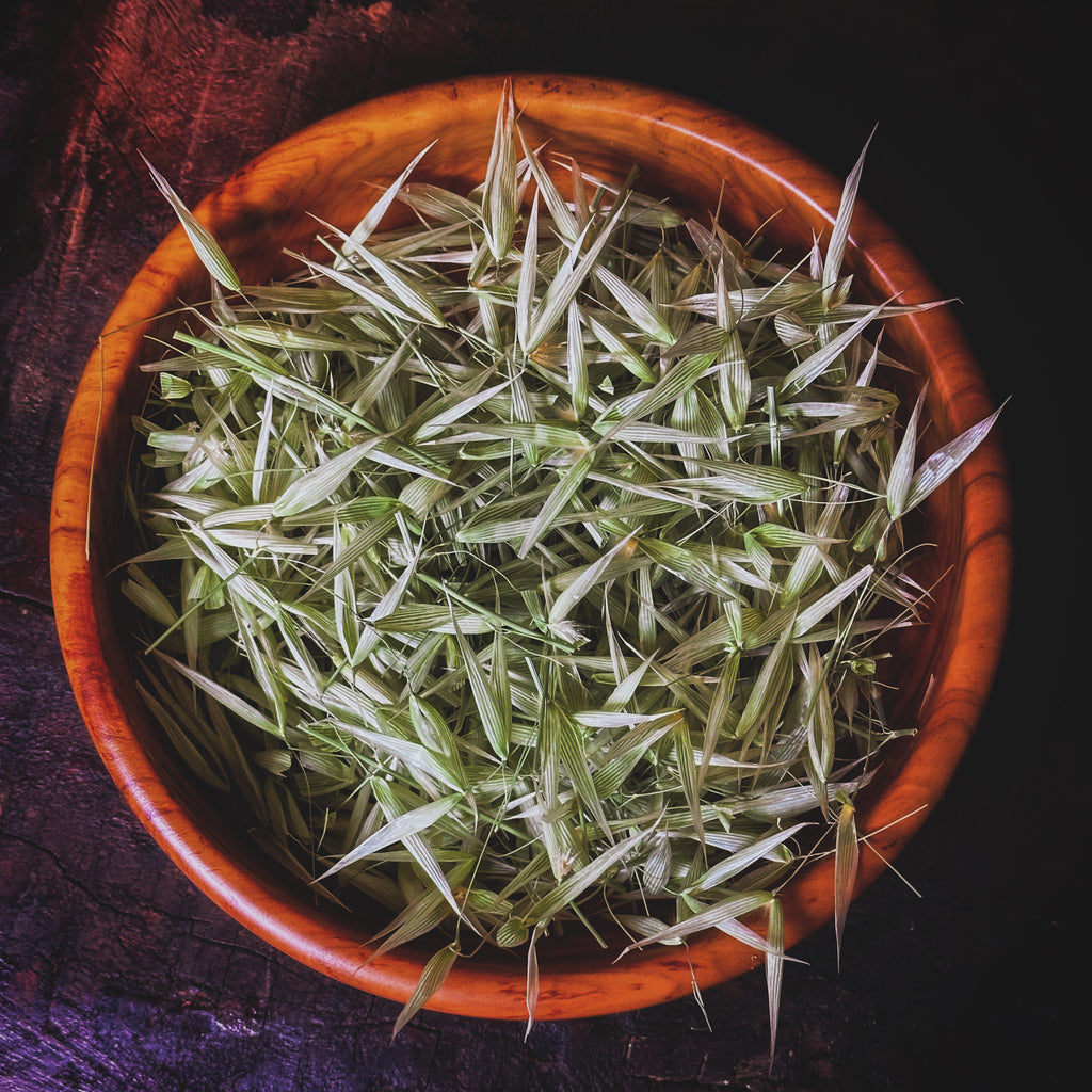 Tintura de avena silvestre
