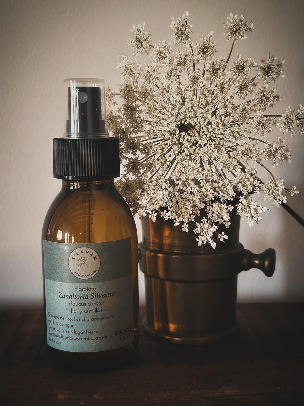 Hydrolat de carotte sauvage