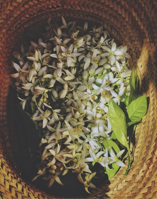 Hydrolat de fleur d'oranger · Eau florale 