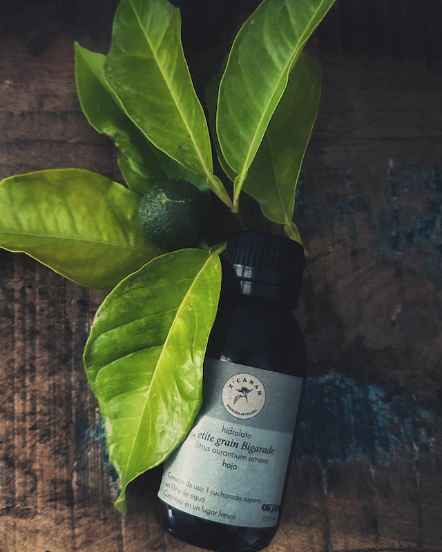 hidrolato de petit grain bigarade
